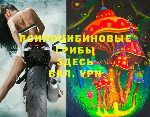 метадон Горняк