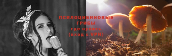 метадон Горняк