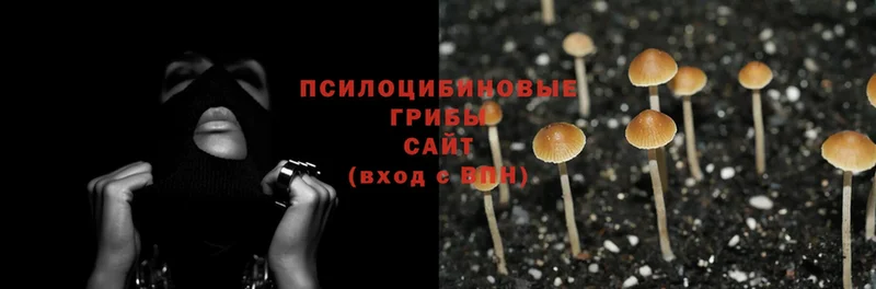 даркнет телеграм  наркотики  Егорьевск  Псилоцибиновые грибы Magic Shrooms 