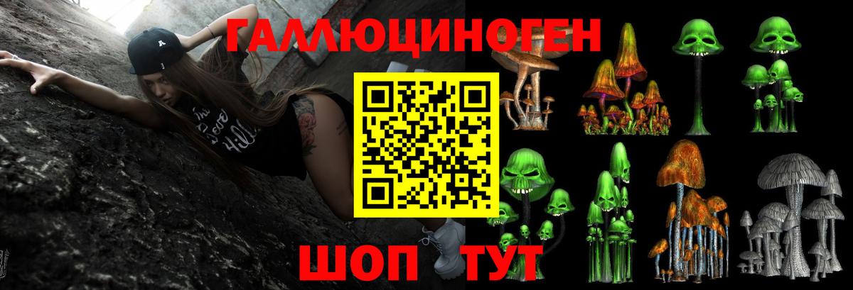 Псилоцибиновые грибы ЛСД  Галлюциногенные грибы мицелий  продажа наркотиков  Егорьевск 